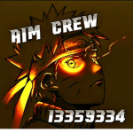 Aim crew