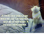 Rats United Team too