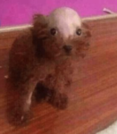 mclificent bomb