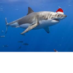 sharknadologan's fan club