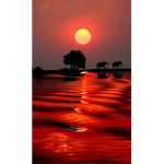 Batu_Oyku