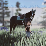 •| Willow Lake Stables |•