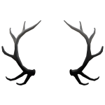 Moondrop Antlers