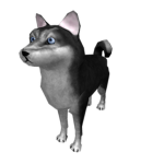 mouse and dog united