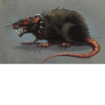 Mad Rats!