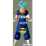 Robux :33