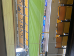Premier League + Other League