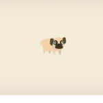 -animal love-
