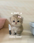 sub to @RM fire