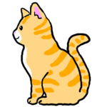 Meow Moon