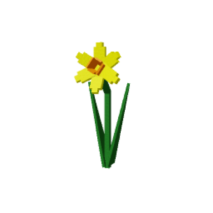 Daffodil