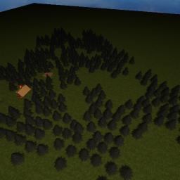 the forest