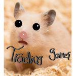 TradingGames