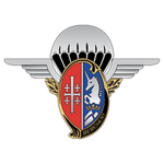 [1er RHP] 1er Régiment de Hussards Parachutistes