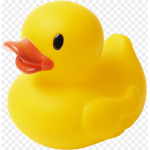 BummyDucky