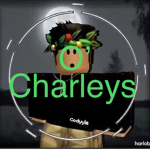 O' Charley's