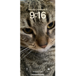 Charlie_tom_missing