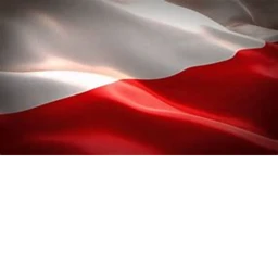 Armia Polska [2020] icon