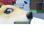 Robl0x family
