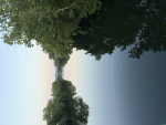 Reflect in the water