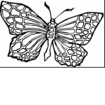 butterfiy2