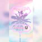 Panda,Sleepy and Ala group