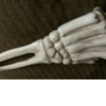 Skeleton world