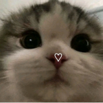 • cwarmi •