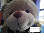 TheCubBears