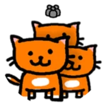 Group Kitten