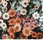 ~ Aesthetic Flower ~ Fan Group