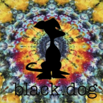 Black Dog Tie Dye