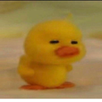 DuckVibes