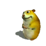 Yellow Chomik