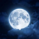 Moonbound ゙゙ Group Thumbnail