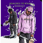 Roaches To War