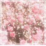 alina's honey blossoms