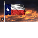 TexasRP officials group
