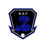Bloxian Special Forces