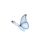 Isa..Roblox