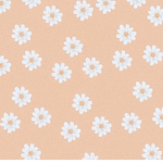 - alyssa’s clothing -