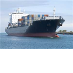 Kings Cargo Import