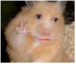 Snickers_ratatouille
