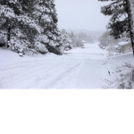 *+-Snow Studios-+*
