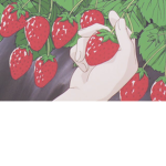 Berriesxo