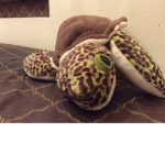 Turtle fan group!!🐢