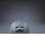 Seals groupsss