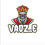 Va dim_z group