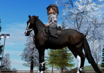 ~smile equestrian academy ~