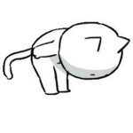 이그룹은 뭘할까여
